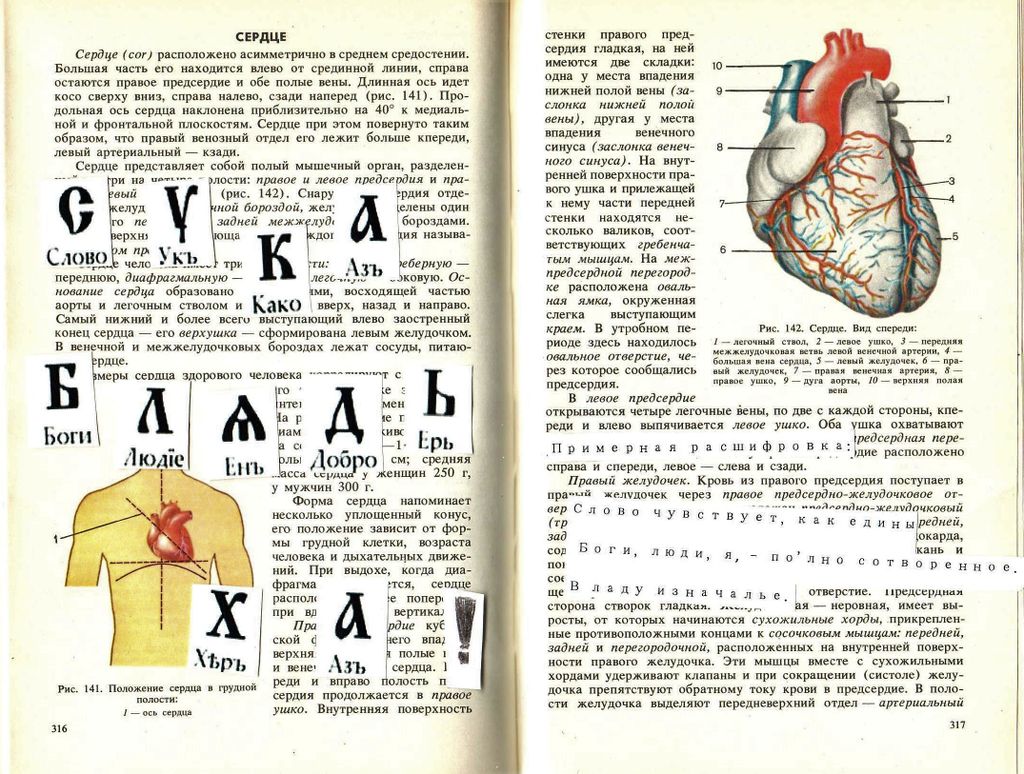 Хокку старославянских буквиц,  — discours.io