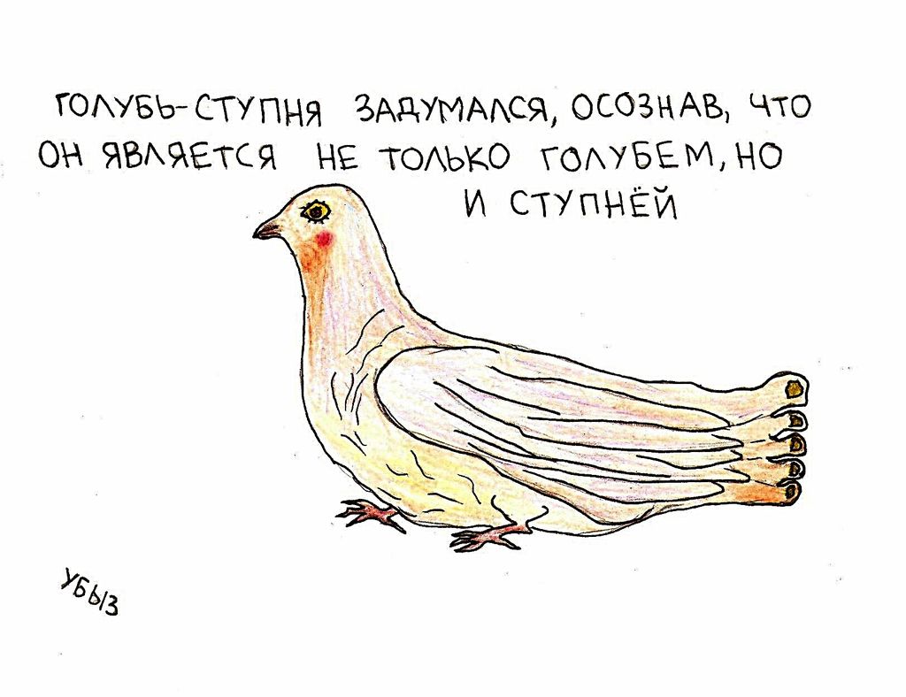 Композиции со зверями и птицами, Голубь-ступня задумался, осознав, что является не только голубем, но и ступней — discours.io