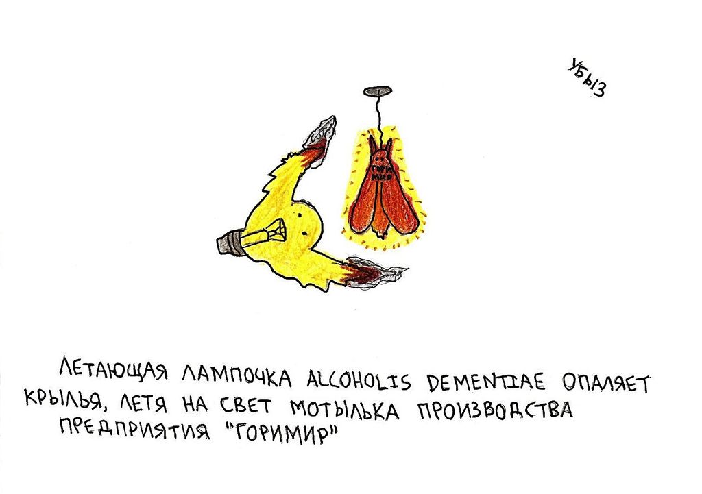 Жизненные ситуации, Летающая лампочка опаляет крылья — discours.io