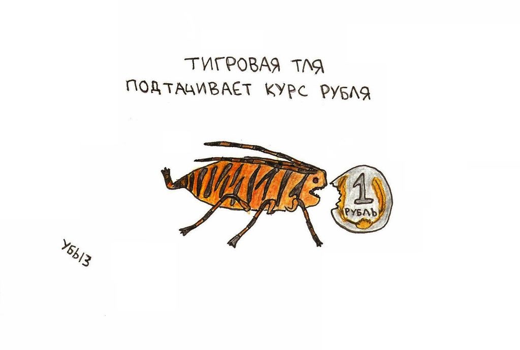 Чем занимаются животные, Тигровая тля подтачивает курс рубля — discours.io