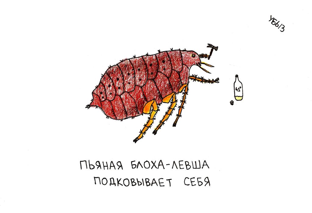 В мире животных, птиц и насекомых, Пьяная блоха-левша подковывает себя — discours.io