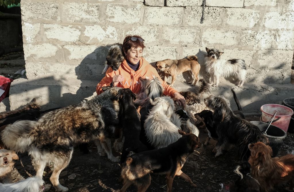 «Застывшая Кубань». Фотопроект о магическом реализме южного края, Галина с собаками, которых она спасла с улицы, во дворе своего частного собачьего приюта — discours.io