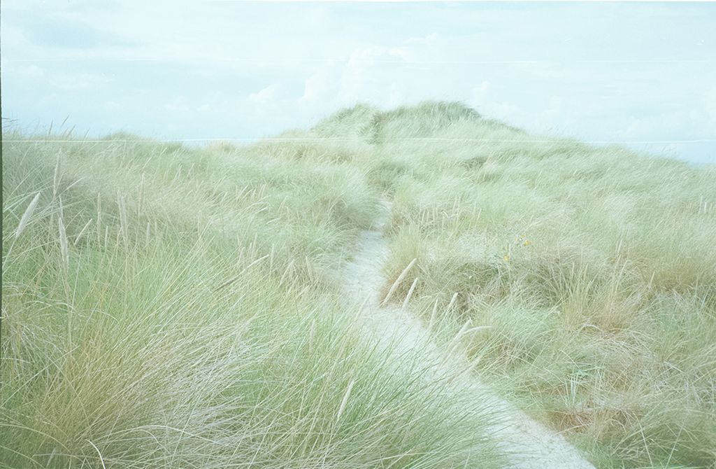 The_Walk, The_Walk 4 — discours.io