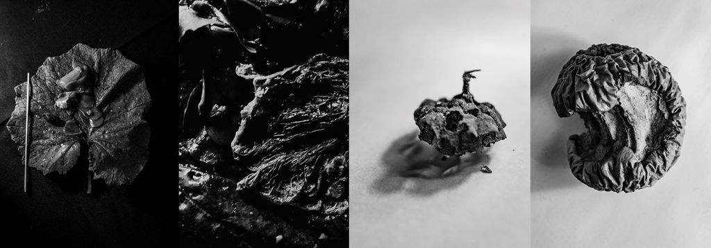 «Chemistry Art» Мариам Дудучавы: превращение химии в искусство,  — discours.io