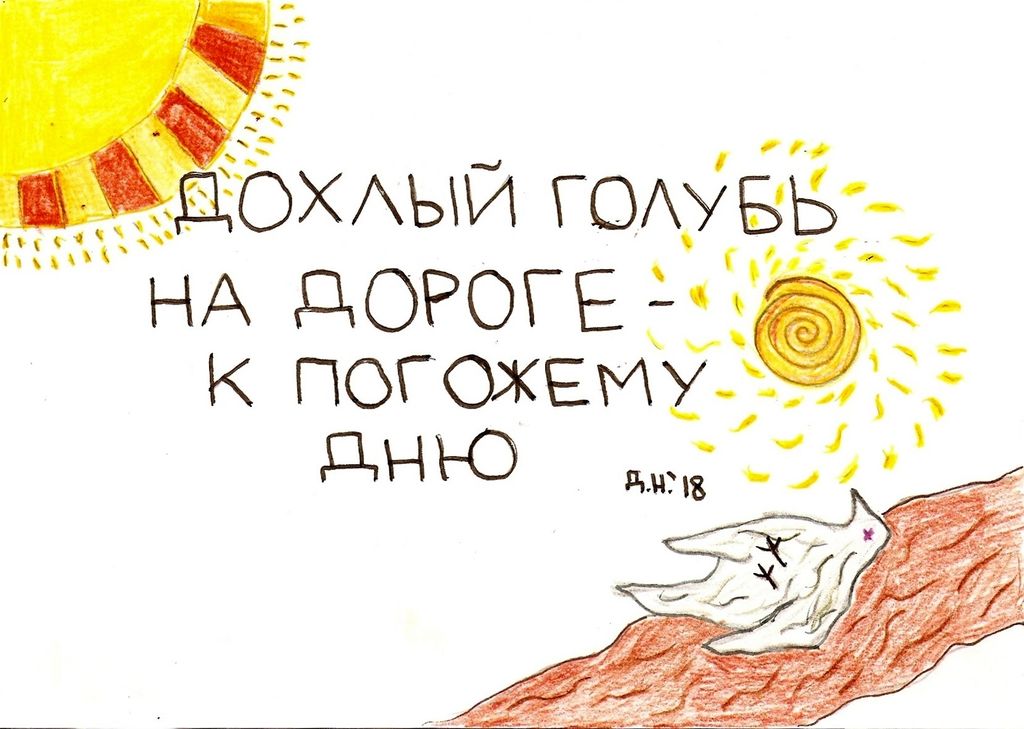 Приметы, Дохлый голубь — discours.io