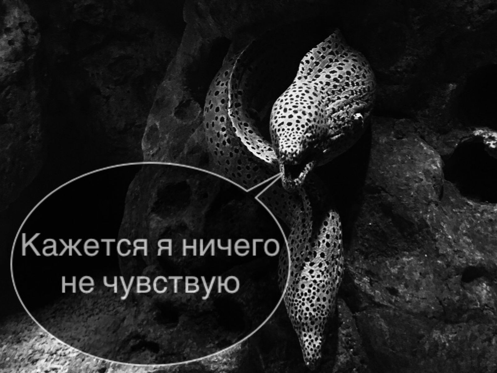 Ускользнувшая предметность литературы: обзор нового номера литературного журнала Носорог / литература, книги, проза, культура, медиа — Discours.io