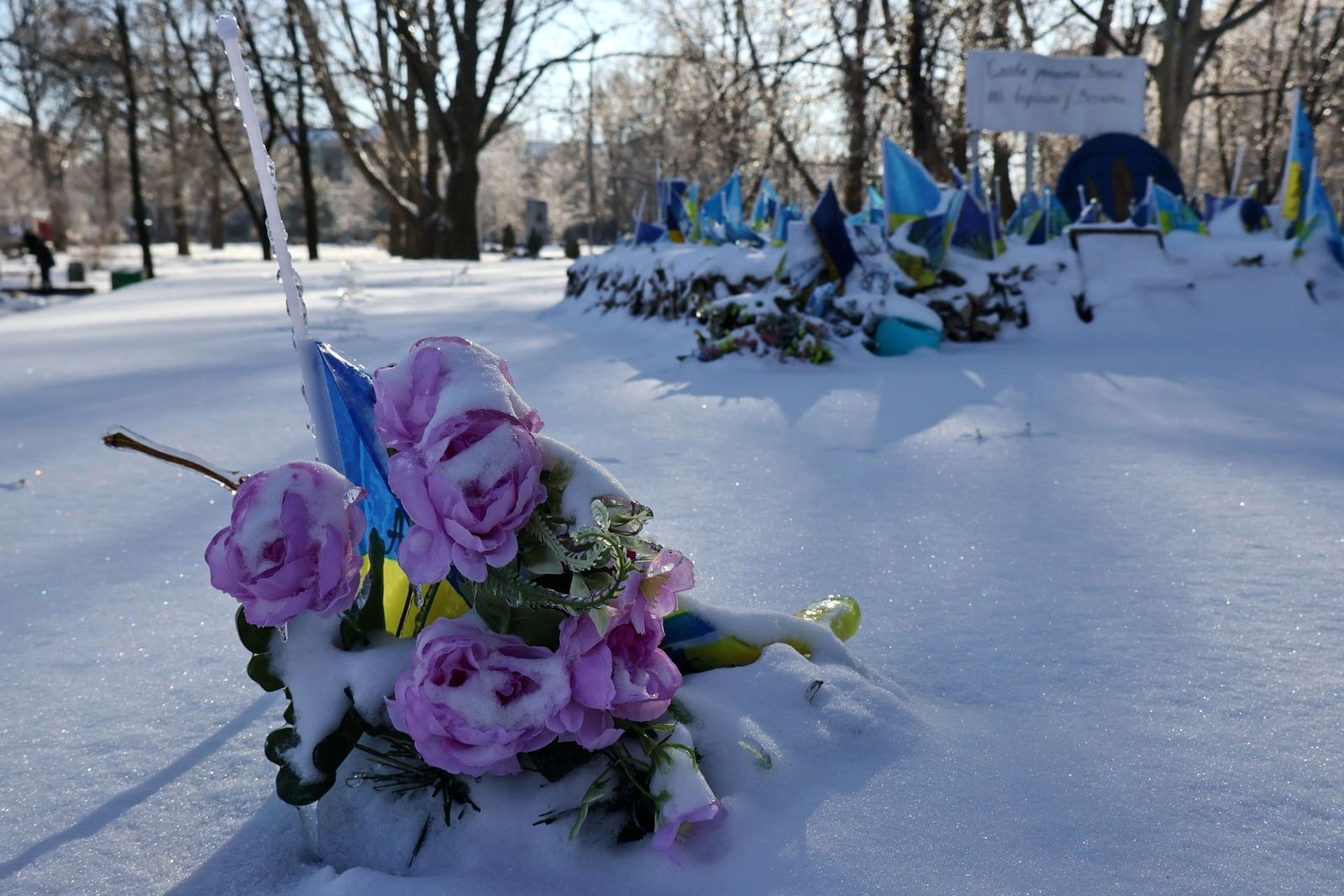 Засыпанные снегом флаги и портреты на мемориале павшим украинским солдатам в Запорожье. 10 января / Andriy Andriyenko / Sopa