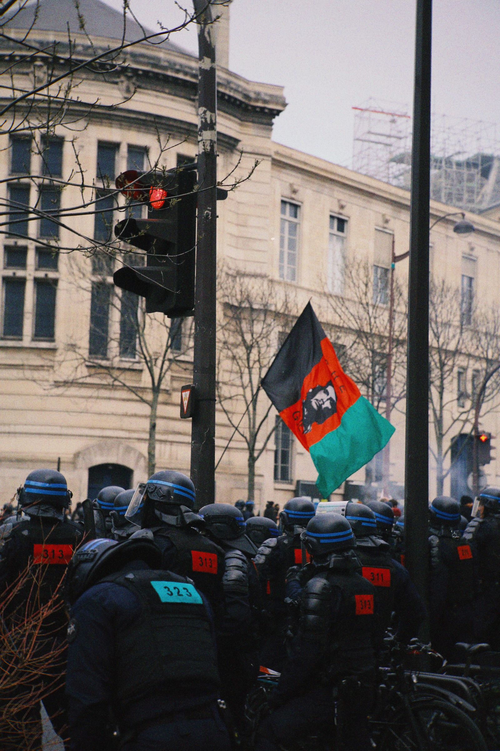 Из протеста в протест пожилой француз выходит один с флагом с Че Геварой