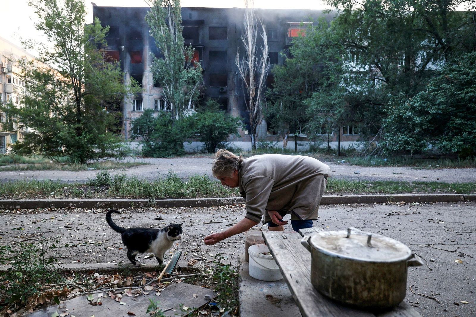 Жительница Торецка, 72-летняя Татьяна, продолжает подкармливать животных, оставленных владельцами в ходе эвакуации. Каждый день, несмотря на интенсивные обстрелы, она готовит и раздает еду брошенным животным / Anatolii Stepanov / AFP / Scanpix / LETA