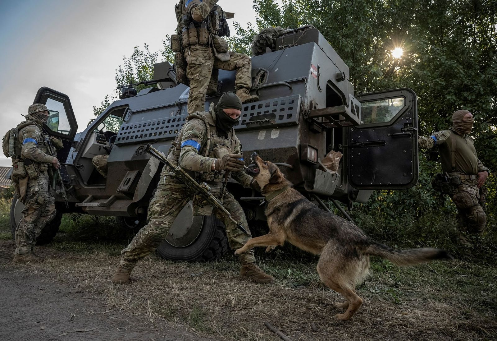 Боец ВСУ играет с собакой недалеко от российской границы в Сумской области. 19 августа / Viacheslav Ratynskyi / REUTERS