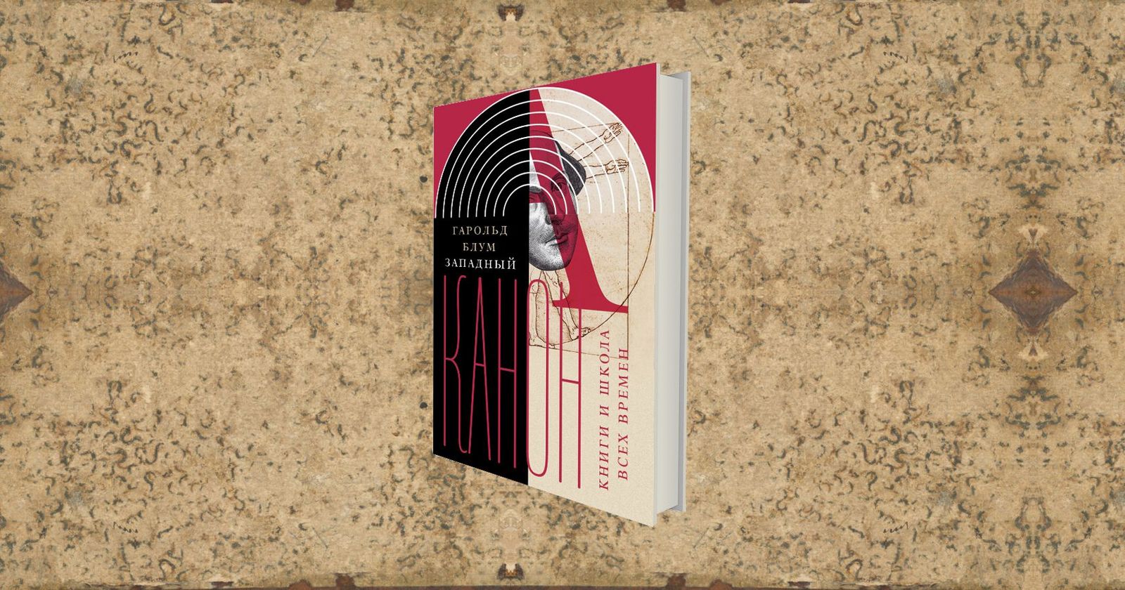 Мой Западный канон: о книге Гарольда Блума «Западный канон» / критика, литературоведение, филология, рецензии, литература, история, книги, обзор — Discours.io