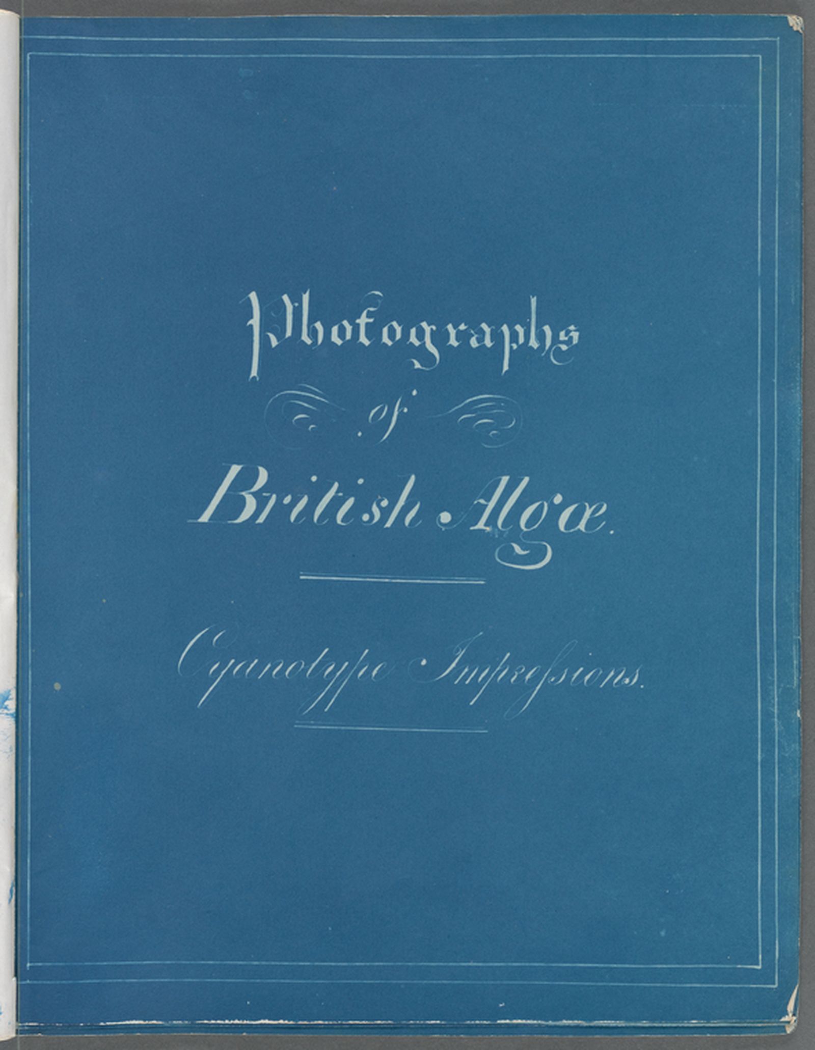 Обложка книги «British Aglae: Cyanotype Impression»