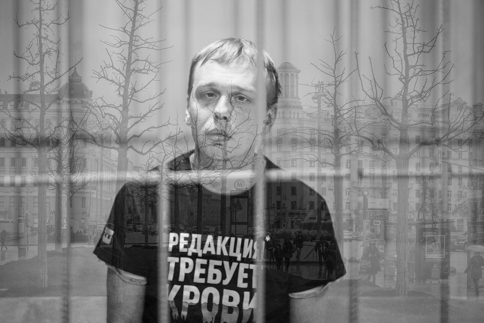Как мэрия Москвы закупила липы почти по 200 тысяч рублей и почему листья появились лишь на некоторых / общество, Свободу Ивану Голунову, политика, власть, деньги, коррупция, расследования — Discours.io
