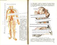 Хокку старославянских буквиц,  — миниатюра