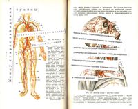 Хокку старославянских буквиц,  — миниатюра