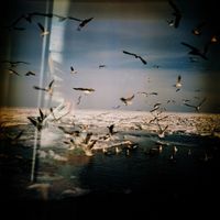 Замёрзшее море. Одесса, 4 — миниатюра