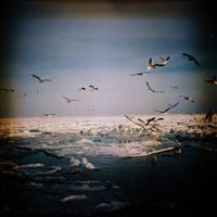 Замёрзшее море. Одесса, 5 — миниатюра