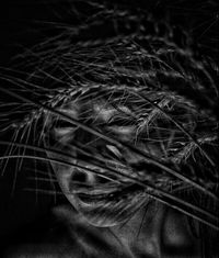 Удивись собою,  — миниатюра