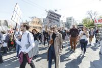 «Вся власть конфетам!» Лозунги и лица Монстрации-2019 в Москве,  — миниатюра
