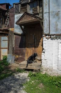 Засечная черта,  — миниатюра