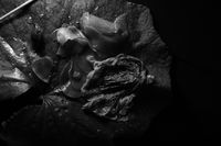 «Chemistry Art» Мариам Дудучавы: превращение химии в искусство,  — миниатюра