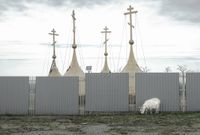 «Застывшая Кубань». Фотопроект о магическом реализме южного края, Коза и снятые на время реставрации купола храма в поселке Приазовском — миниатюра