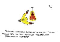 Жизненные ситуации, Летающая лампочка опаляет крылья — миниатюра
