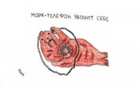 Чем занимаются животные, Морж-телефон звонит себе — миниатюра