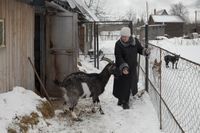 «Когда тебе тяжело, ты ко мне приезжай», Во дворе у дома — миниатюра