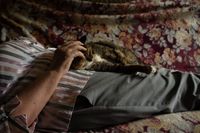 «Борисовна». Фотопроект о старости такой, какая она есть, Марина Борисовна и её кошка — миниатюра