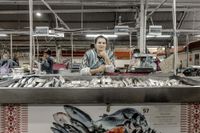 «Застывшая Кубань». Фотопроект о магическом реализме южного края, Продавщица в рыбном отделе на рынке города Темрюка — миниатюра