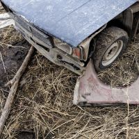 «1346». Фотоколлекция колоритных «Жигулей» — самого массового советского автомобиля,  — миниатюра