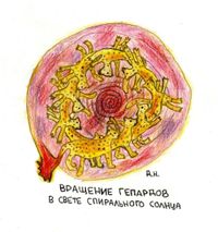 Композиции с животными, Вращение гепардов в свете спирального солнца — миниатюра