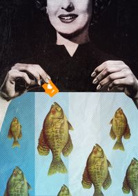Collages, Food for Fools — миниатюра