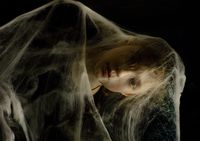 Хрупкость. Прекрасные опасные иллюзии,  — миниатюра