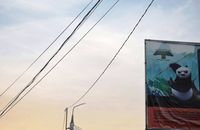 Моя реклама,  — миниатюра