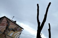 Моя реклама,  — миниатюра