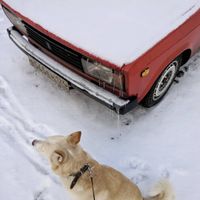 «1346». Фотоколлекция колоритных «Жигулей» — самого массового советского автомобиля,  — миниатюра