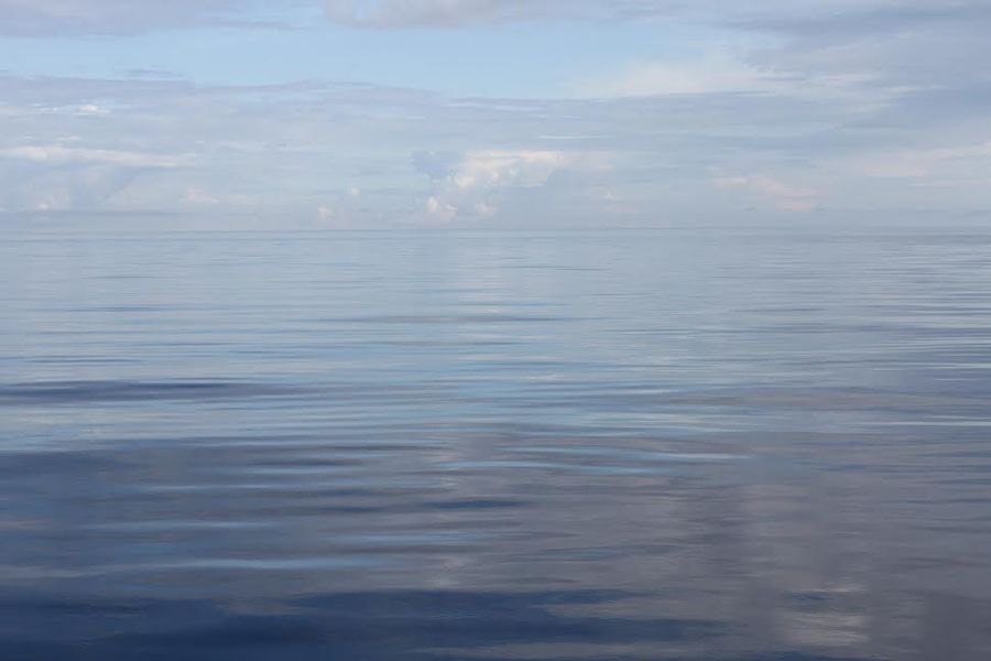 Во отоце океана моря