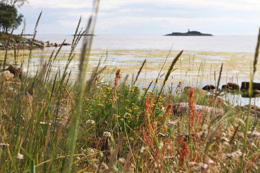 Во отоце океана моря