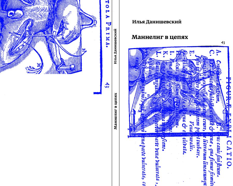 Обложка книги И. Данишевского «Маннелиг в цепях» Обложка книги И. Данишевского «Маннелиг в цепях»