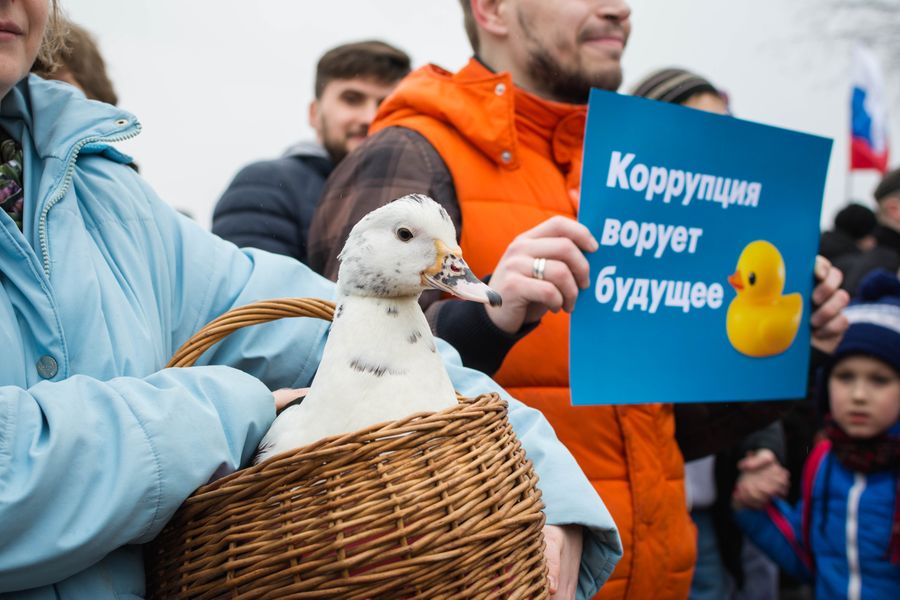 Утка стала символом коррупции в России после расследований ФБК об имуществе премьер-министра Дмитрия Медведева / Фото: Farhad Sadykov, Flickr Утка стала символом коррупции в России после расследований ФБК об имуществе премьер-министра Дмитрия Медведева / Фото: Farhad Sadykov, Flickr