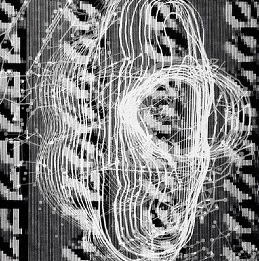 Мигель Шевалье. Антропометрия, 1990. Линейная графика на этом цифровом изображении напоминает рисунок кабелей, без которых невозможна работа компьютера. Мигель Шевалье. Антропометрия, 1990. Линейная графика на этом цифровом изображении напоминает рисунок кабелей, без которых невозможна работа компьютера.